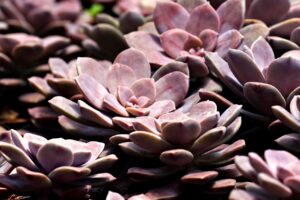 本音を知って初めて安心できた瞬間とはどんな時ですか？