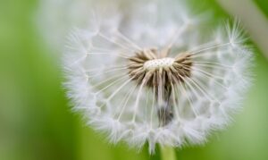 「もっと早く話せばよかった」体験談で得られる教訓とは？