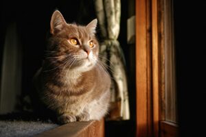 不安が強い人の恋愛傾向とはどのようなものですか？