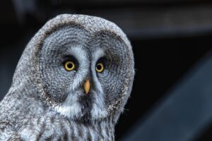 心理を通じて不安を解消するための自分を知る系の方法は？