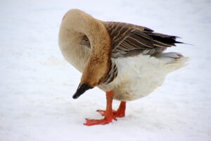 愛される自分になるためのセルフケア習慣は？