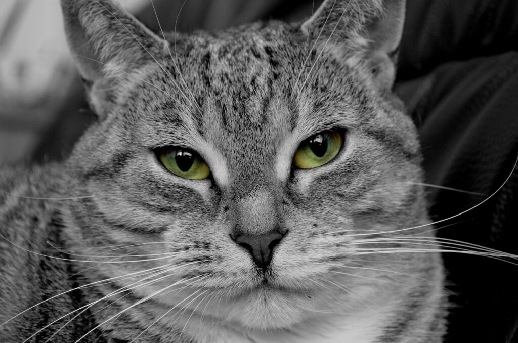 我慢しない恋愛がうまくいく理由とは何か？