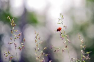 素直な気持ちを伝えて関係が深まったときの成功体験は？
