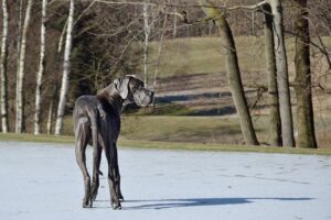 彼の気持ちがなんで変わるのか知りたいあなたへ？