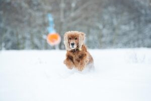 追いかける恋愛をやめたいと感じる理由とは？