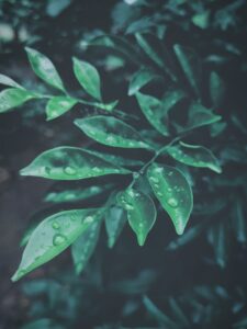 彼氏が不機嫌になる理由は何？あなたの悩みを解消するヒントはここに！